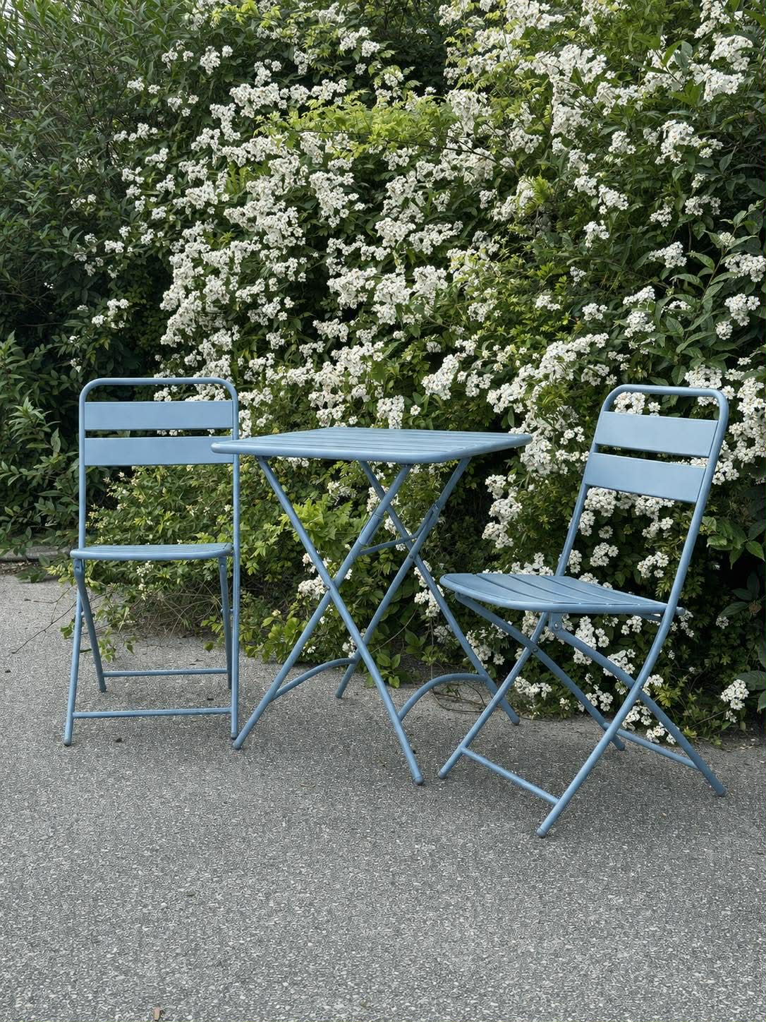 Caféset - Blue garden