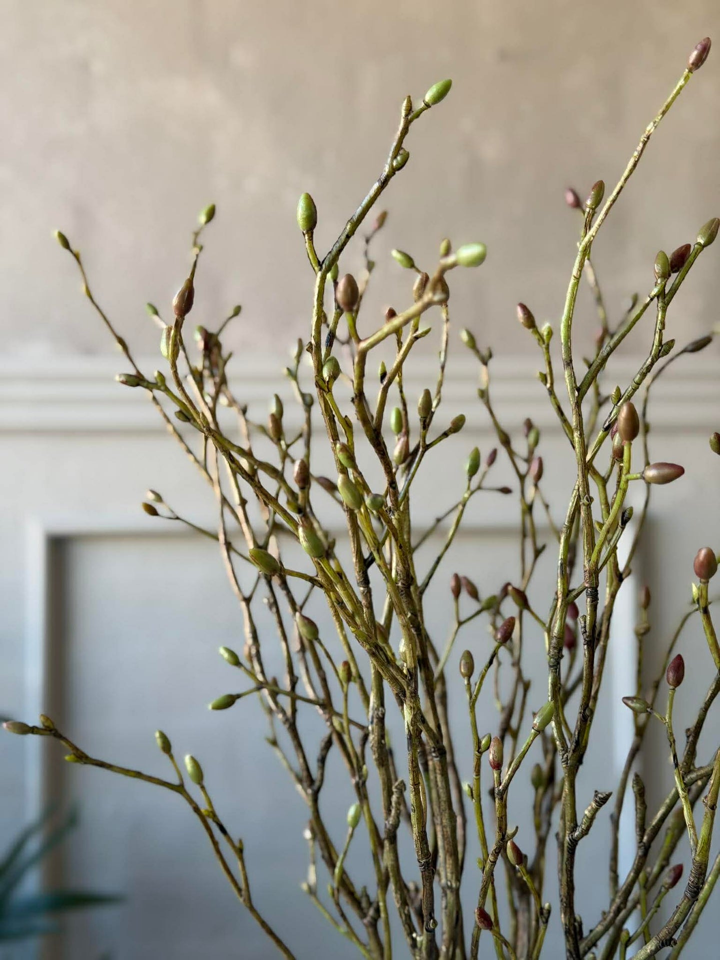 Gren med knoppar - Knippe med 3 grenar