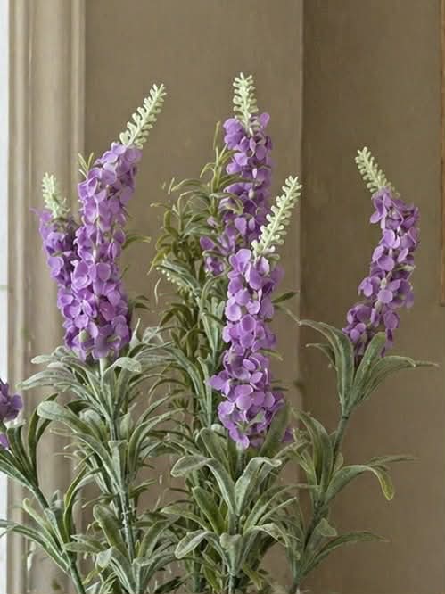 Lila blomma i kruka