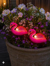 Flamingo på pinne - Solcellsdriven