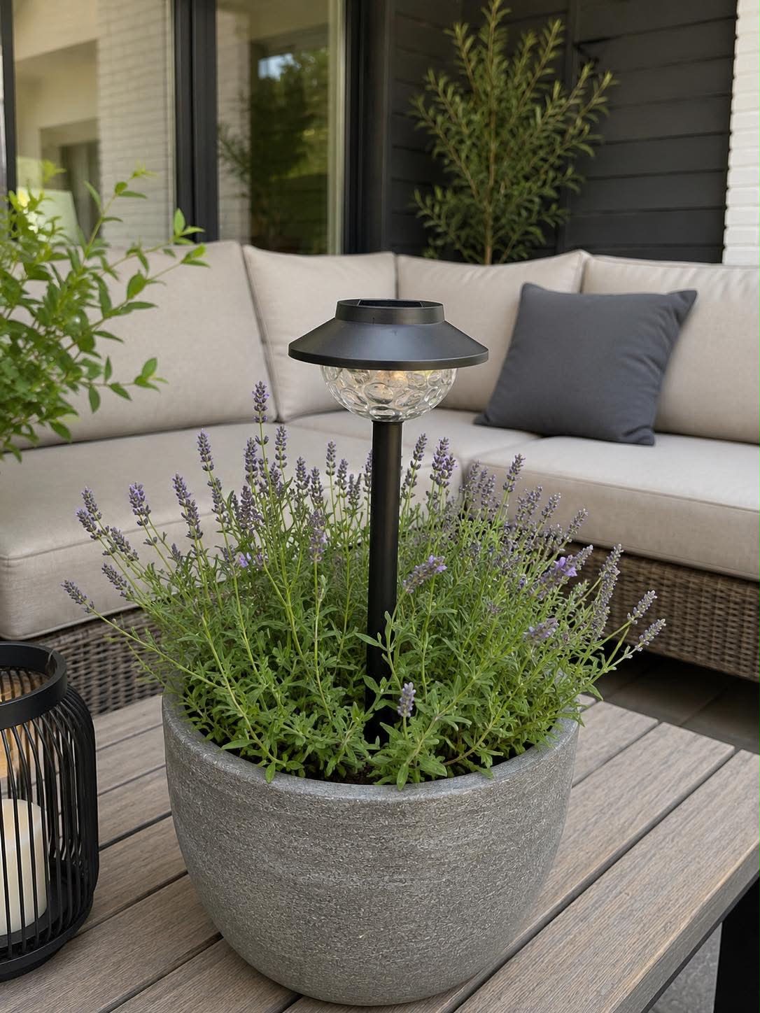 Trädgårdslampa Joyce solar