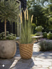 Pampas i kruka - 91 cm