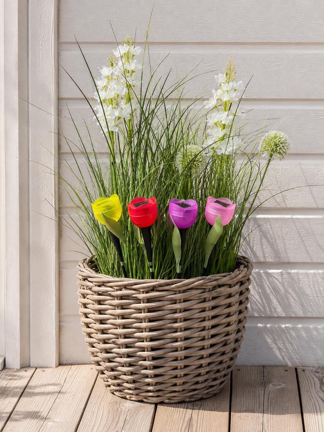 Tulipan Solar - Flera färger