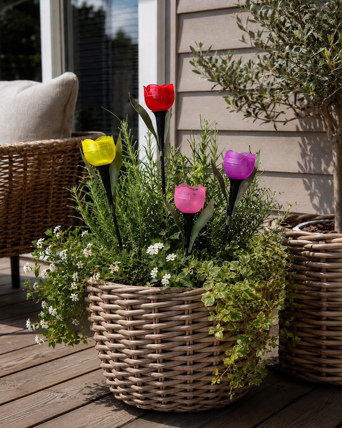 Tulipan Solar - Flera färger