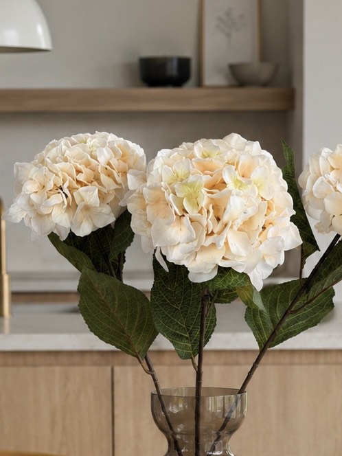 Hortensia creme - 70 cm