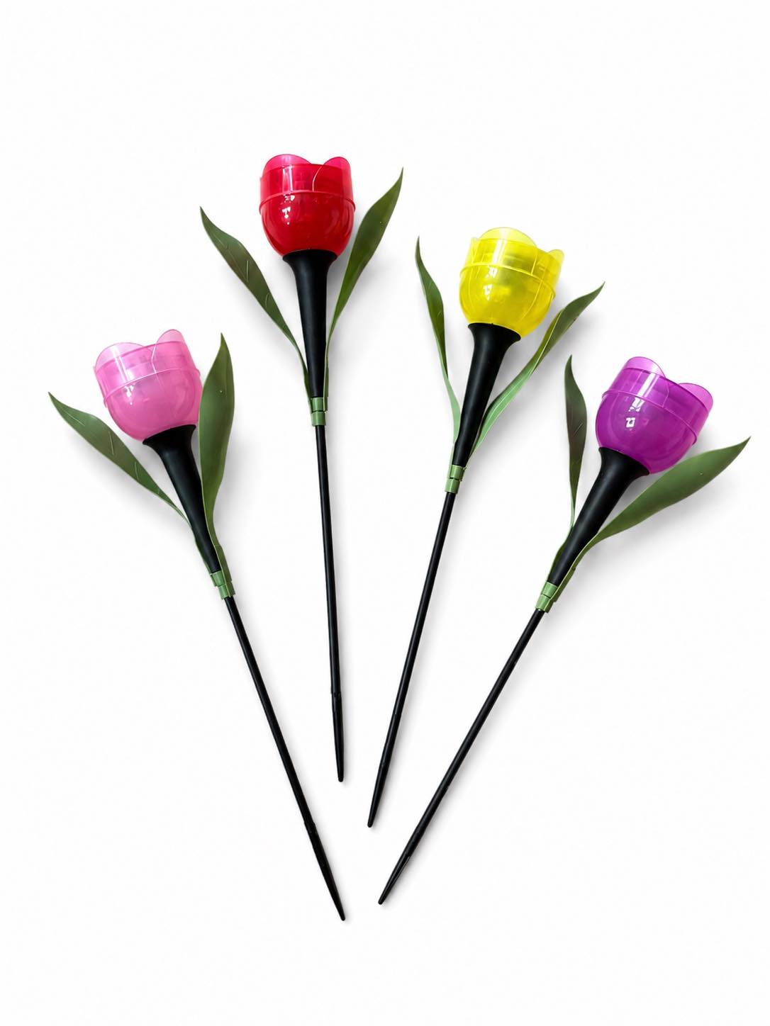 Tulipan Solar - Flera färger