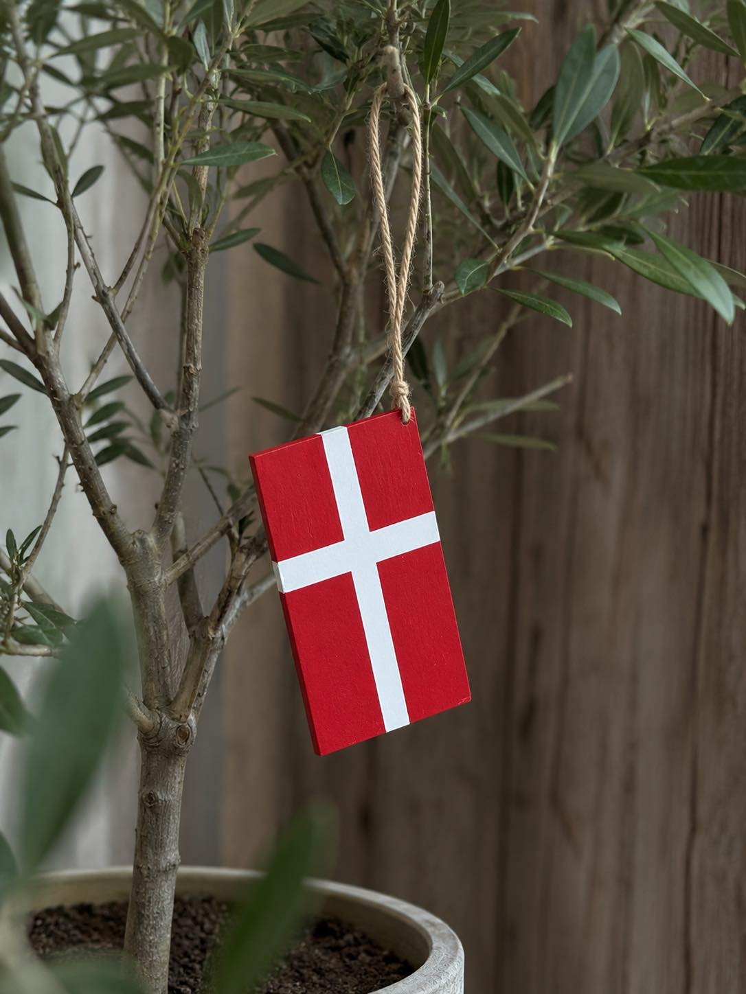 Dannebrog med upphängning - Flera storlekar