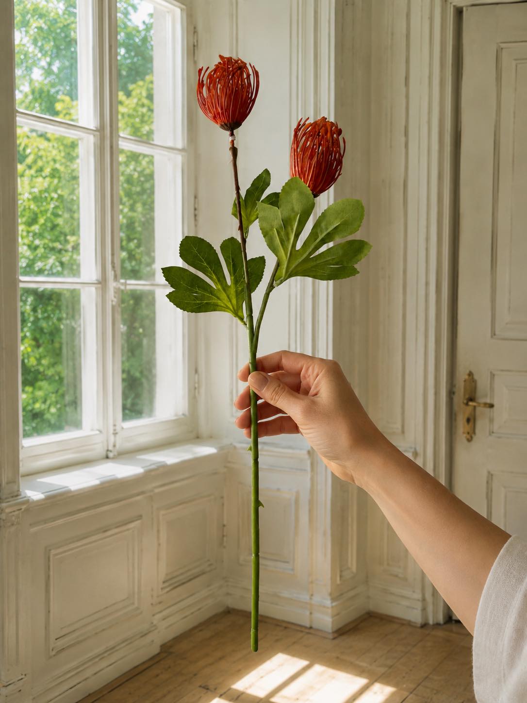 Blomgren Krysantemum - Flera färger
