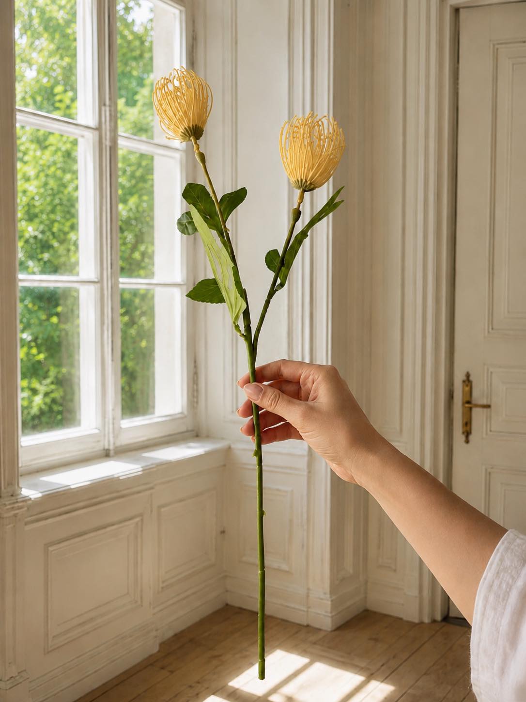 Blomgren Krysantemum - Flera färger