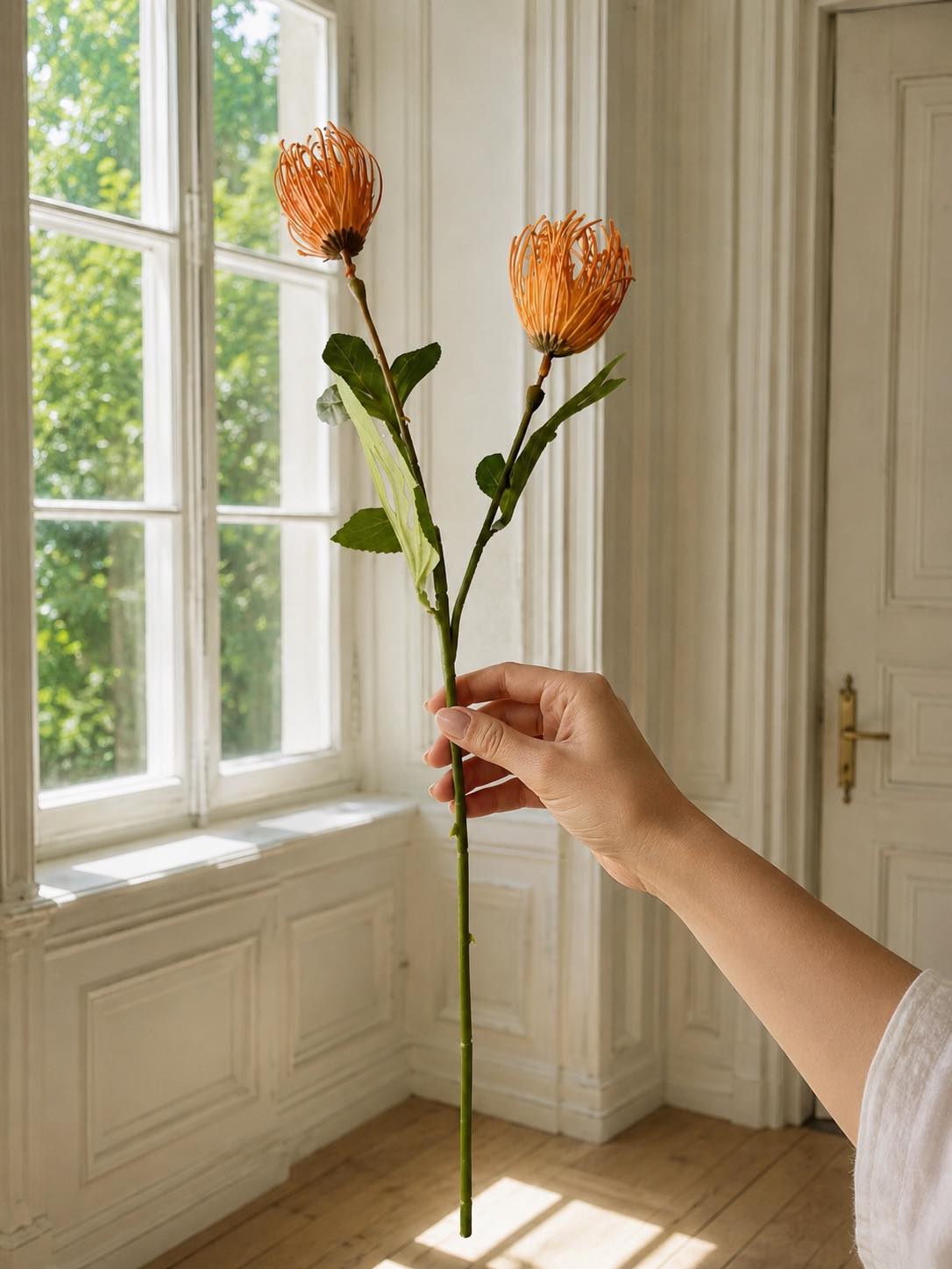 Blomgren Krysantemum - Flera färger