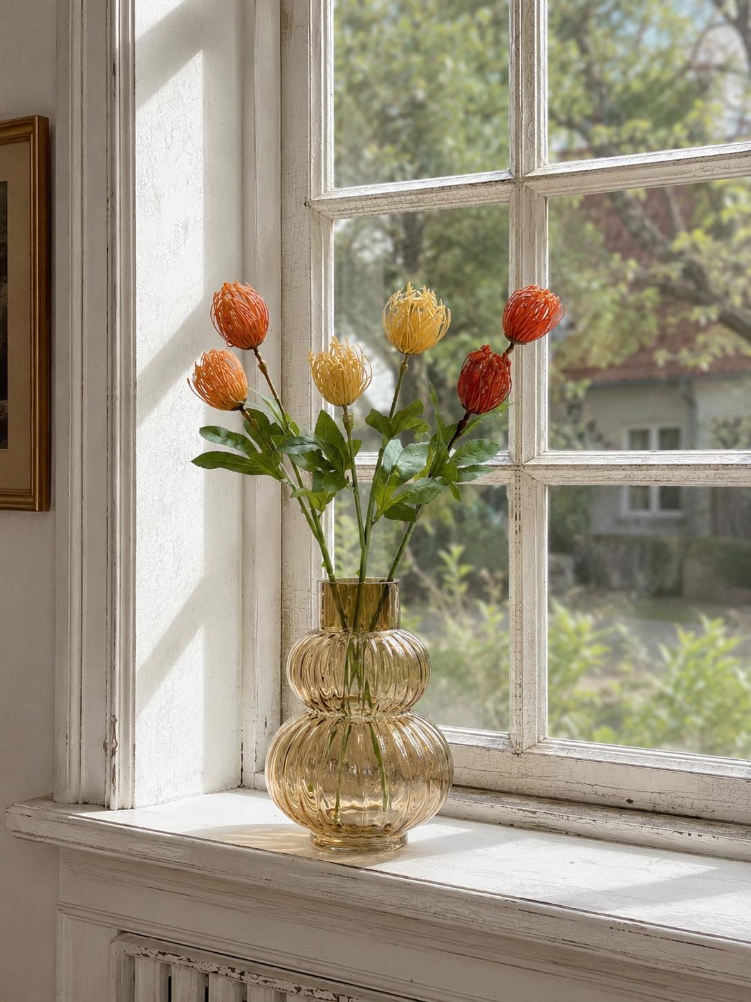 Blomgren Krysantemum - Flera färger