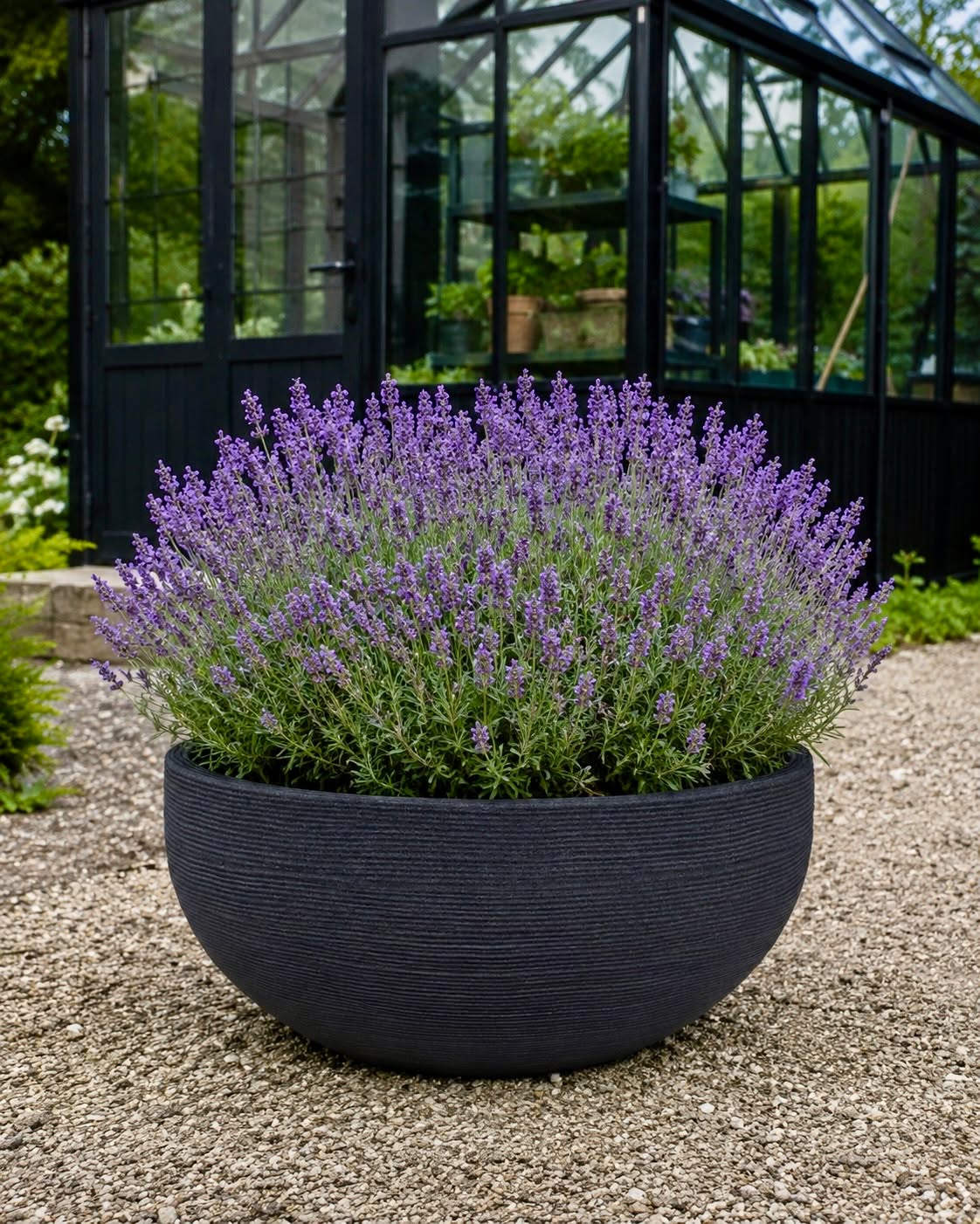 Spegelbassin black garden