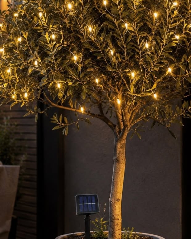 Solar ljusslingnät med 60 LED