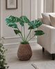 Planta Alocasia Big H:79 cm Grön
