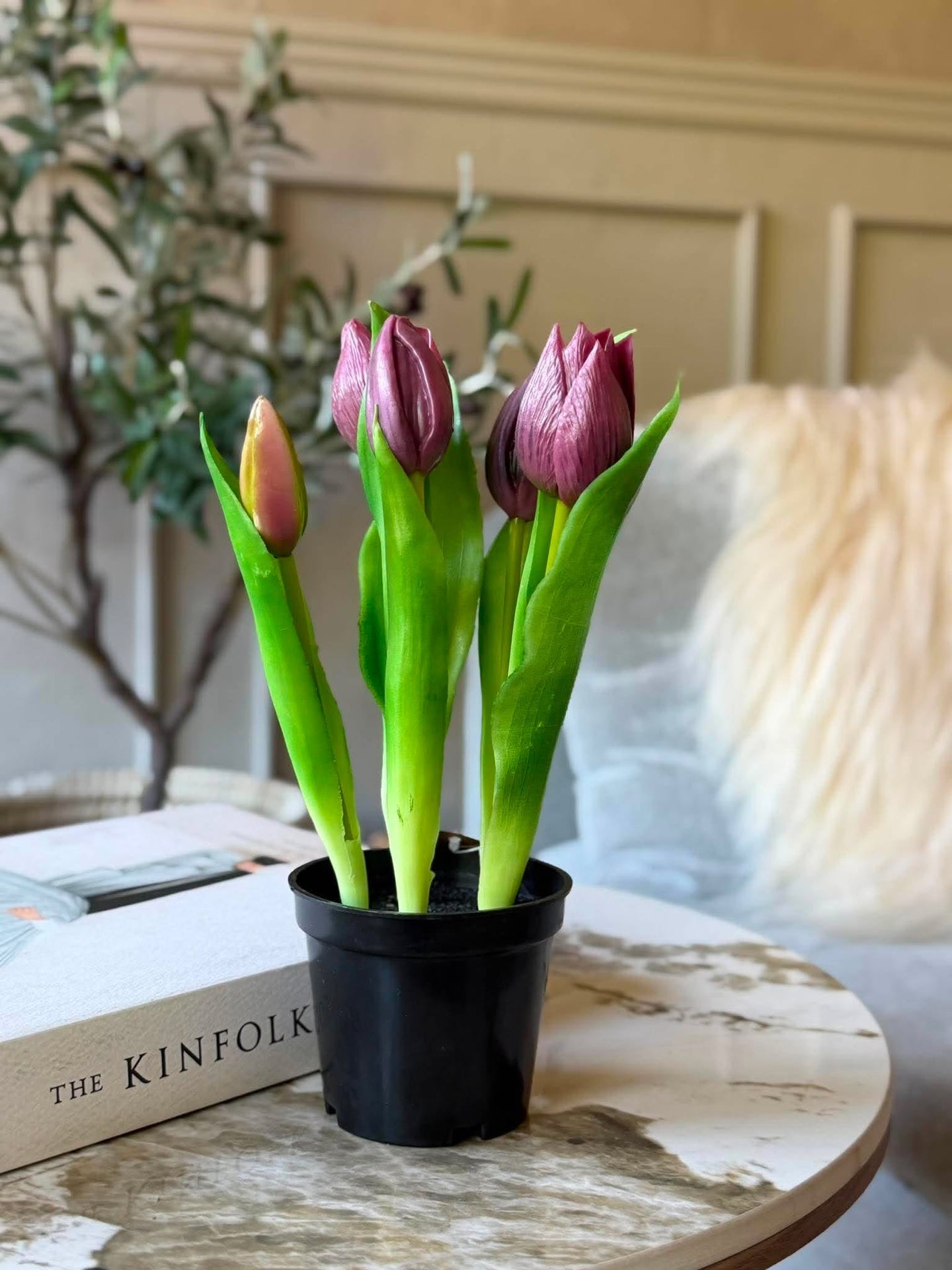 Tulpan i kruka - Lila med 5 blommor