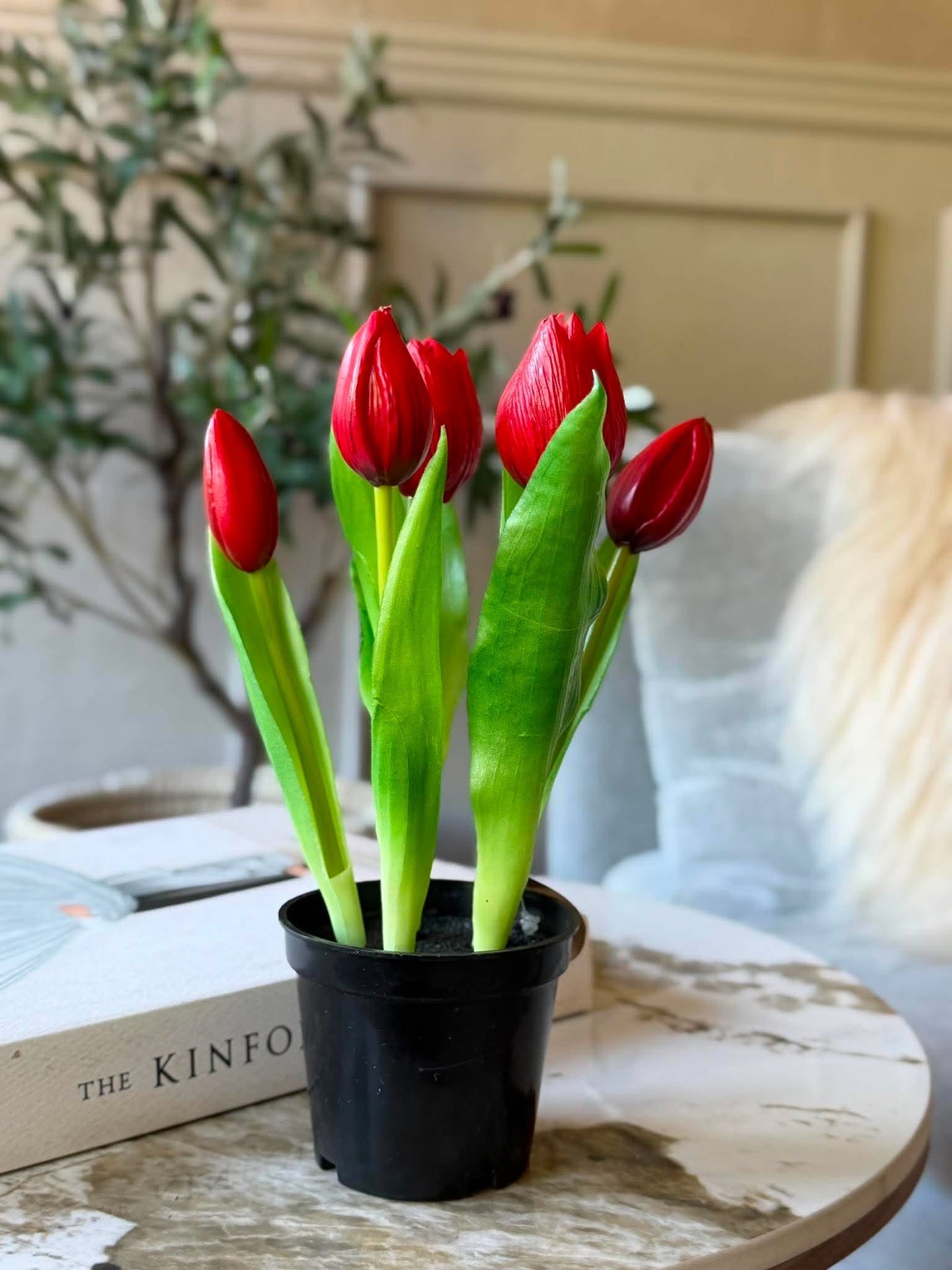 Tulpan i kruka - Röd med 5 blommor