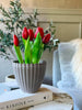 Tulpan i kruka - Röd med 5 blommor