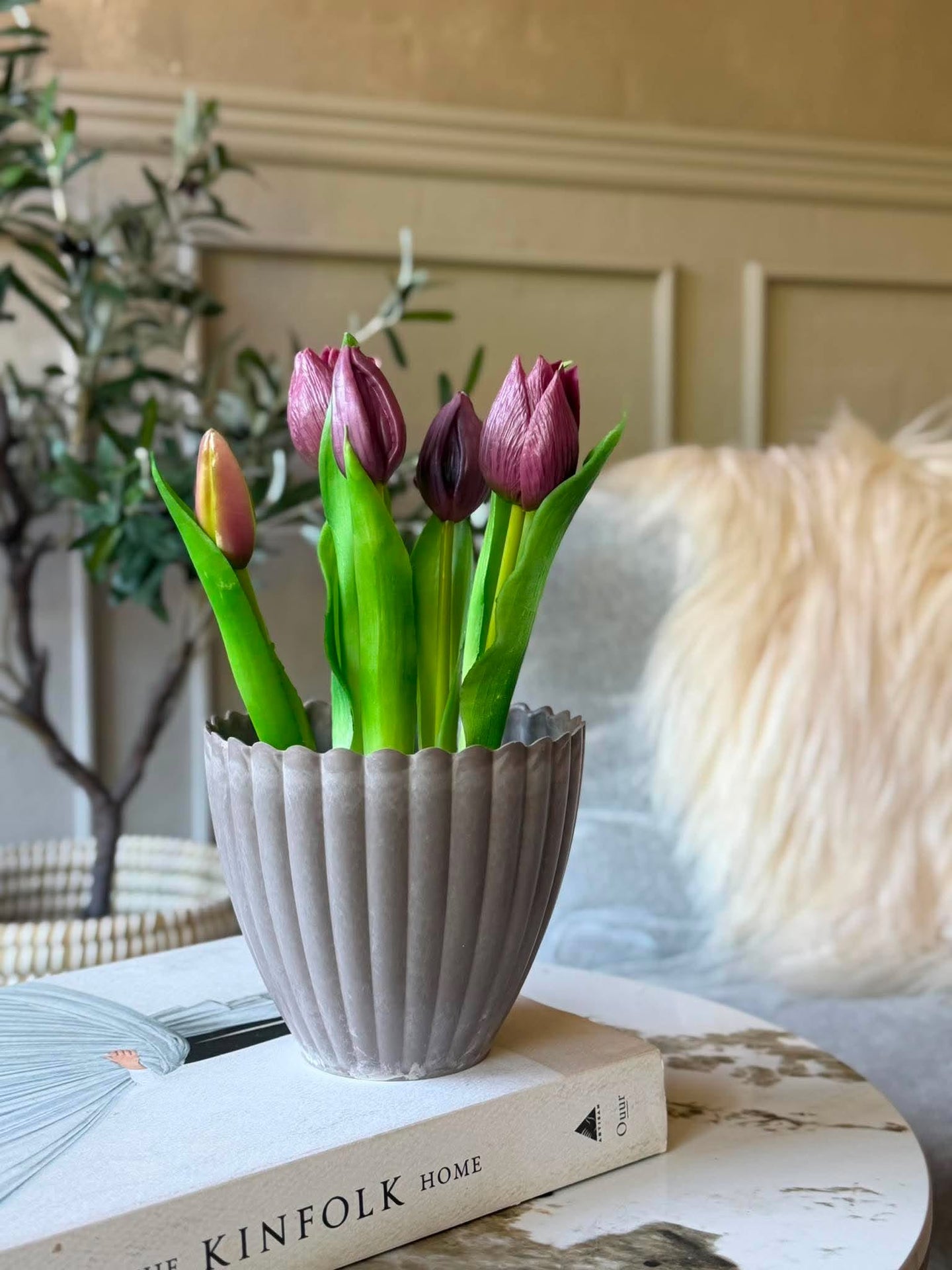 Tulpan i kruka - Lila med 5 blommor