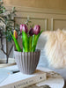 Tulpan i kruka - Lila med 5 blommor