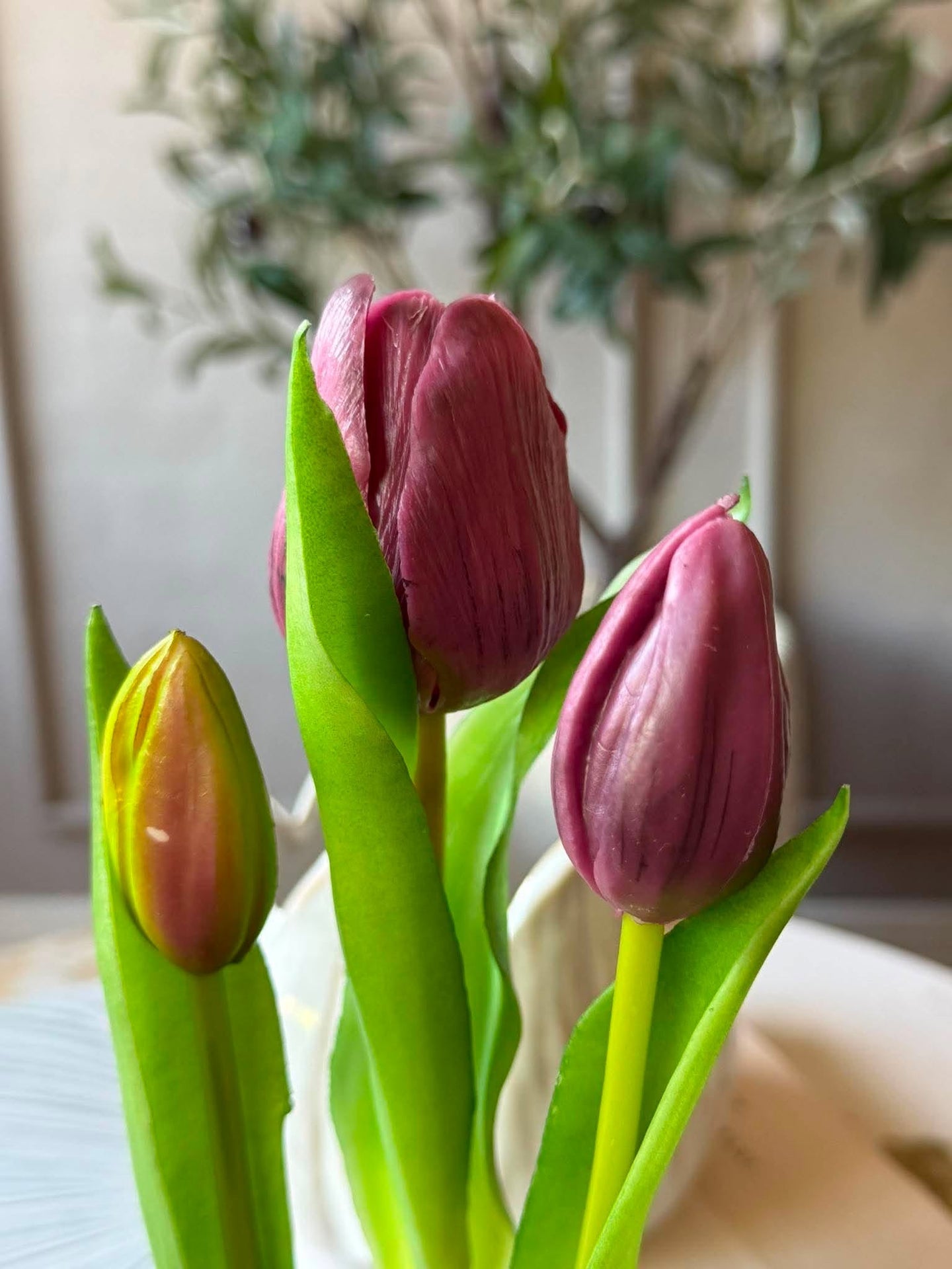 Tulpan i kruka - Lila med 3 blommor