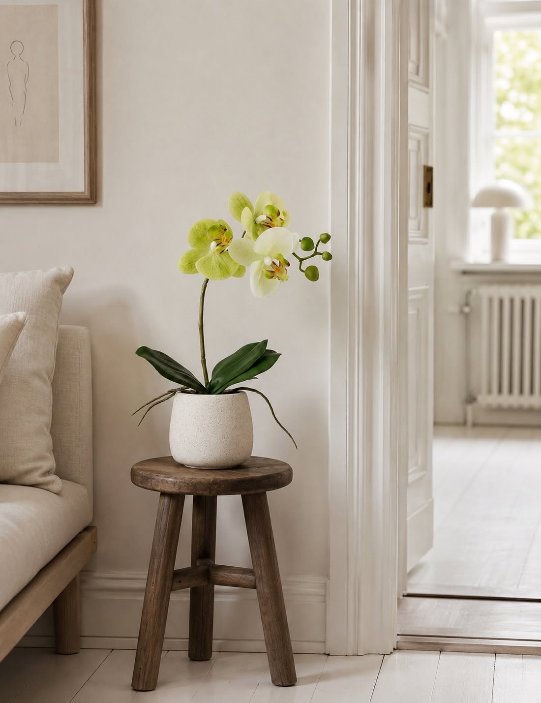 Orkidé i kruka - Lime 36 cm
