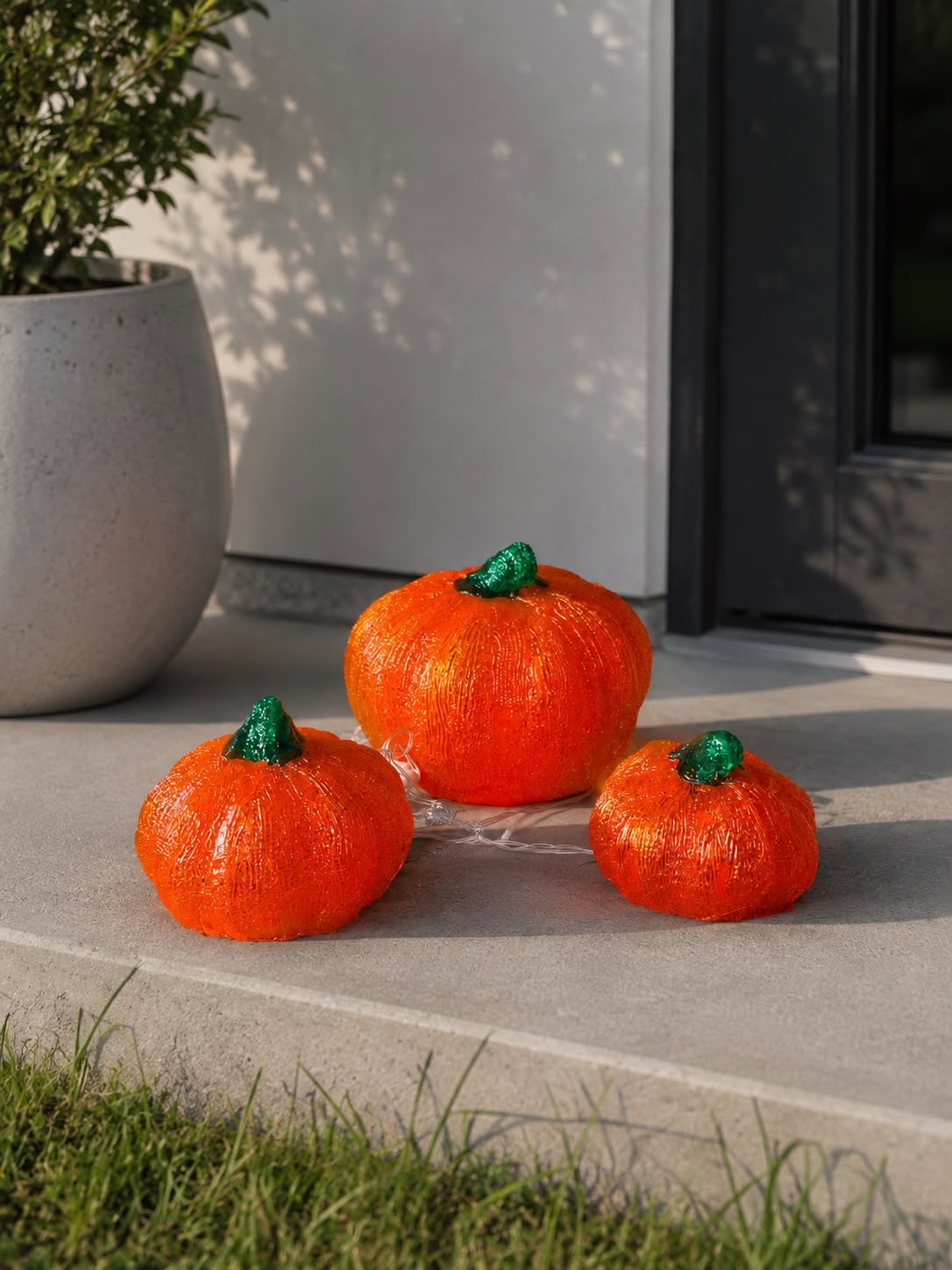 Pumpor med led ljus - Set med 3 st