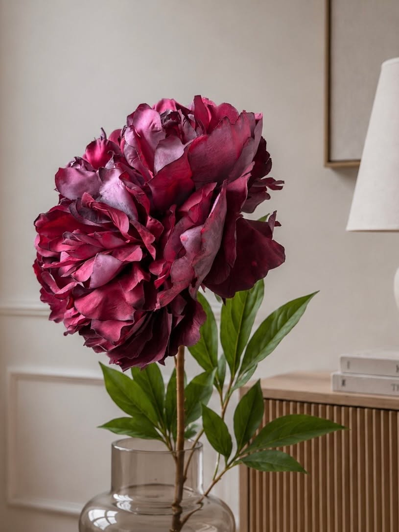 Pionstjälk 72 cm - Bordeaux