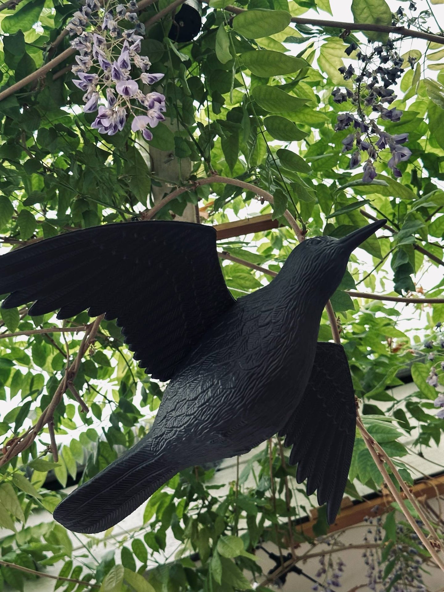 Fågel - RAVEN BLACK
