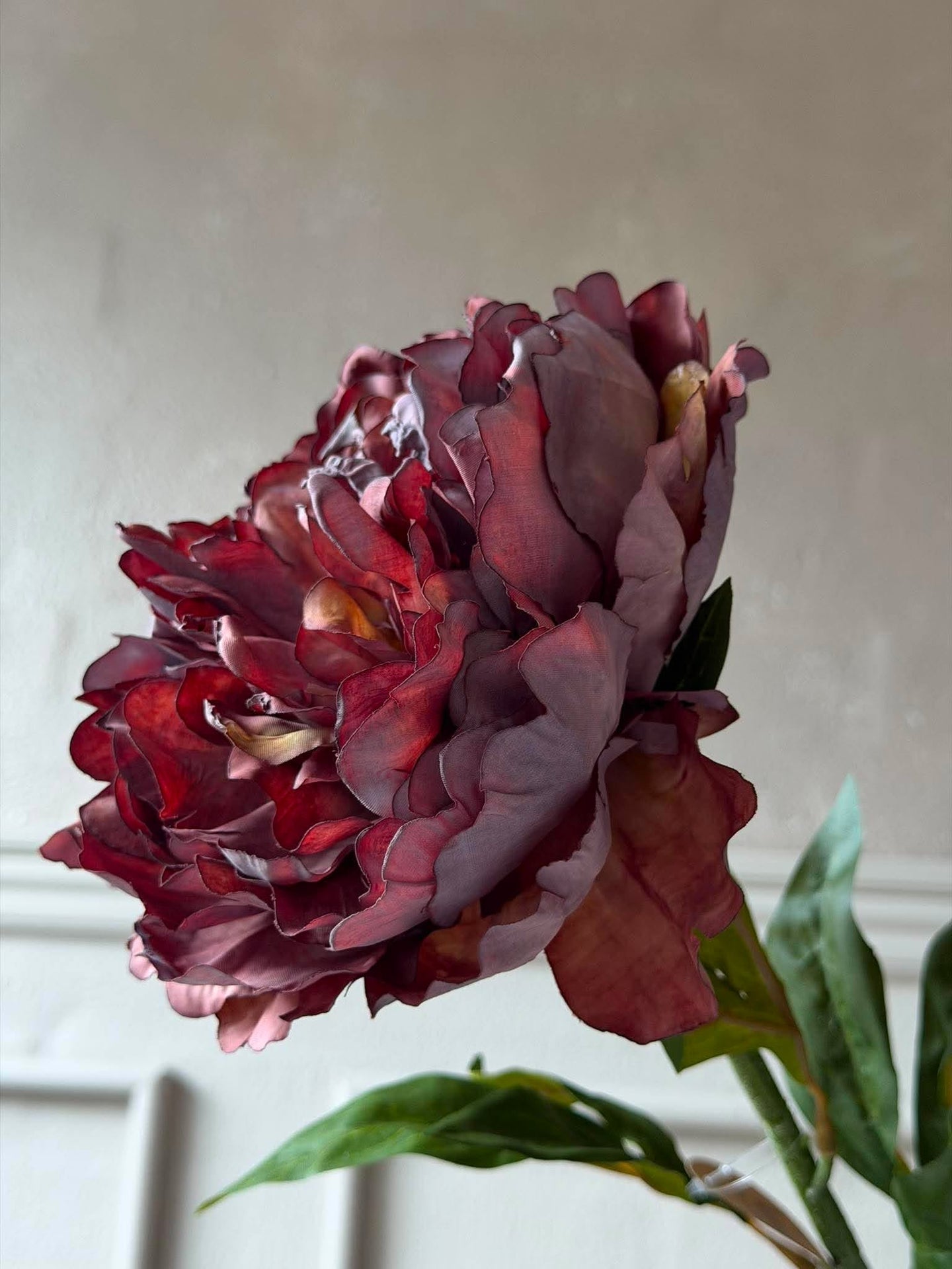 Pion 72 cm - Lila