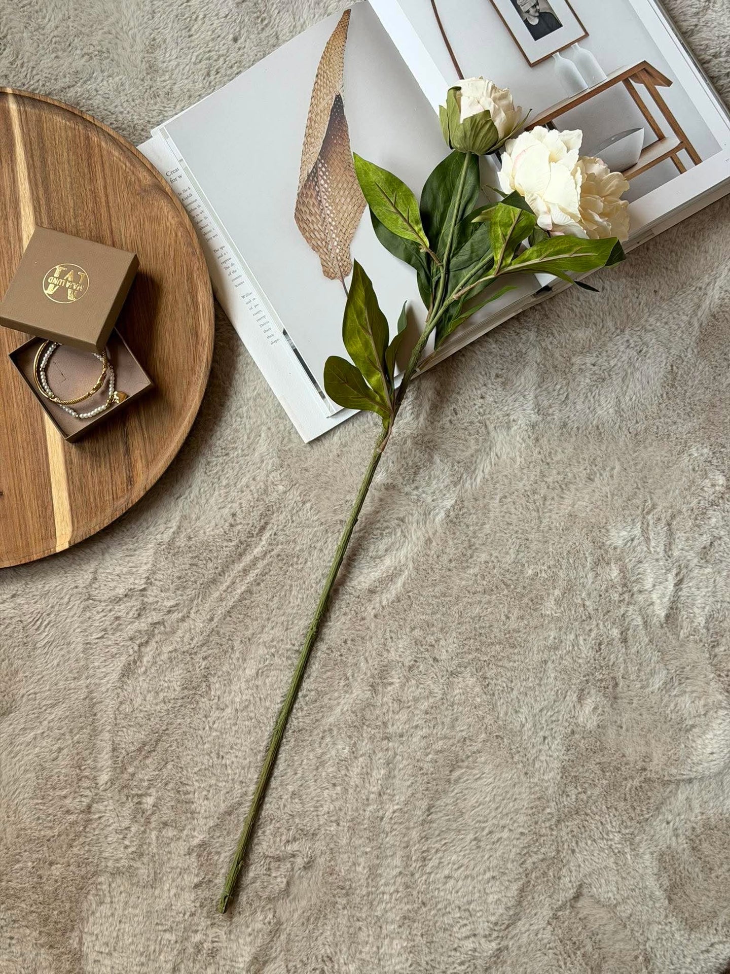 Pion 69 cm - creme