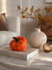 Pumpamix