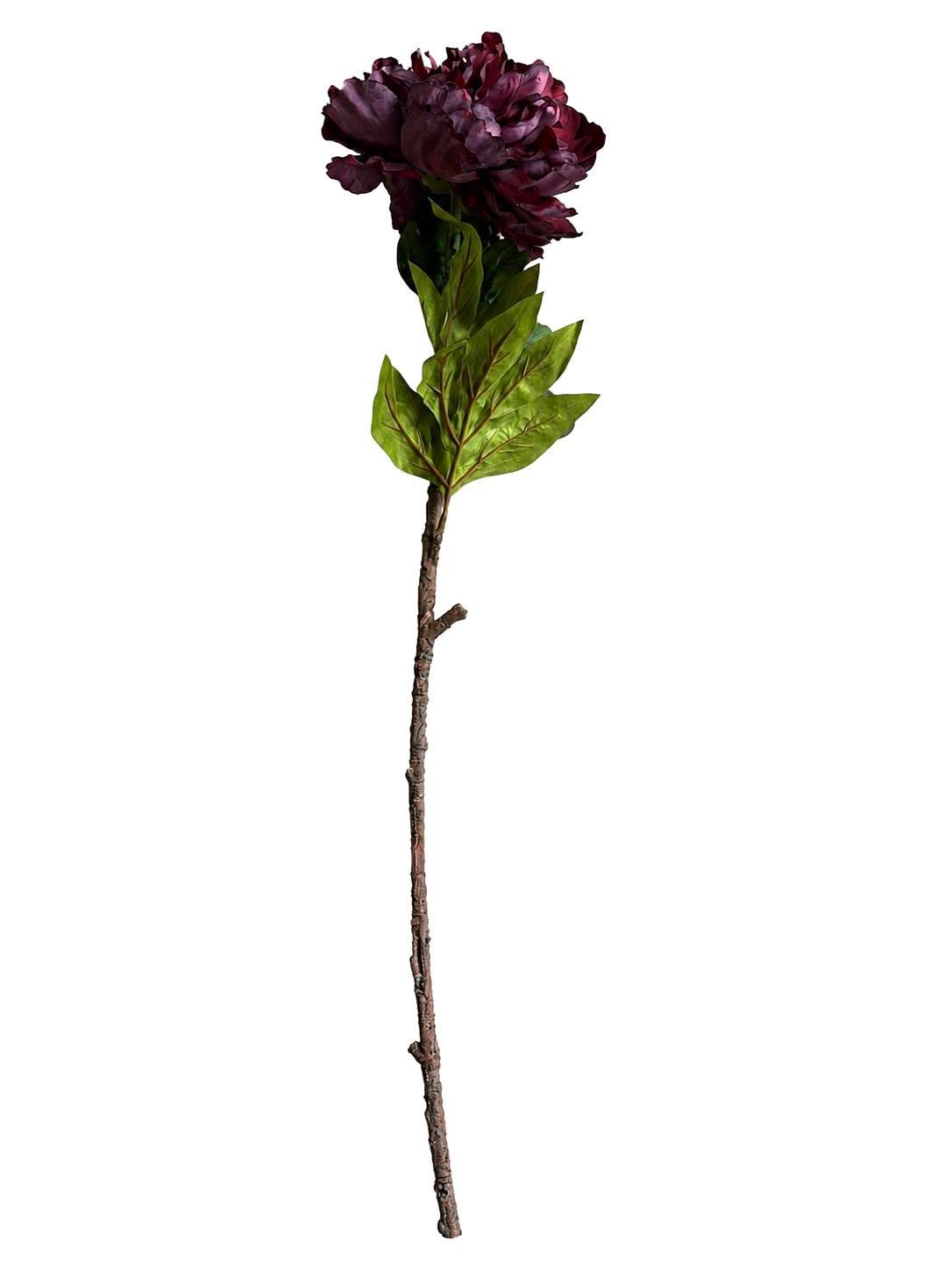 Pionstjälk 72 cm - Bordeaux