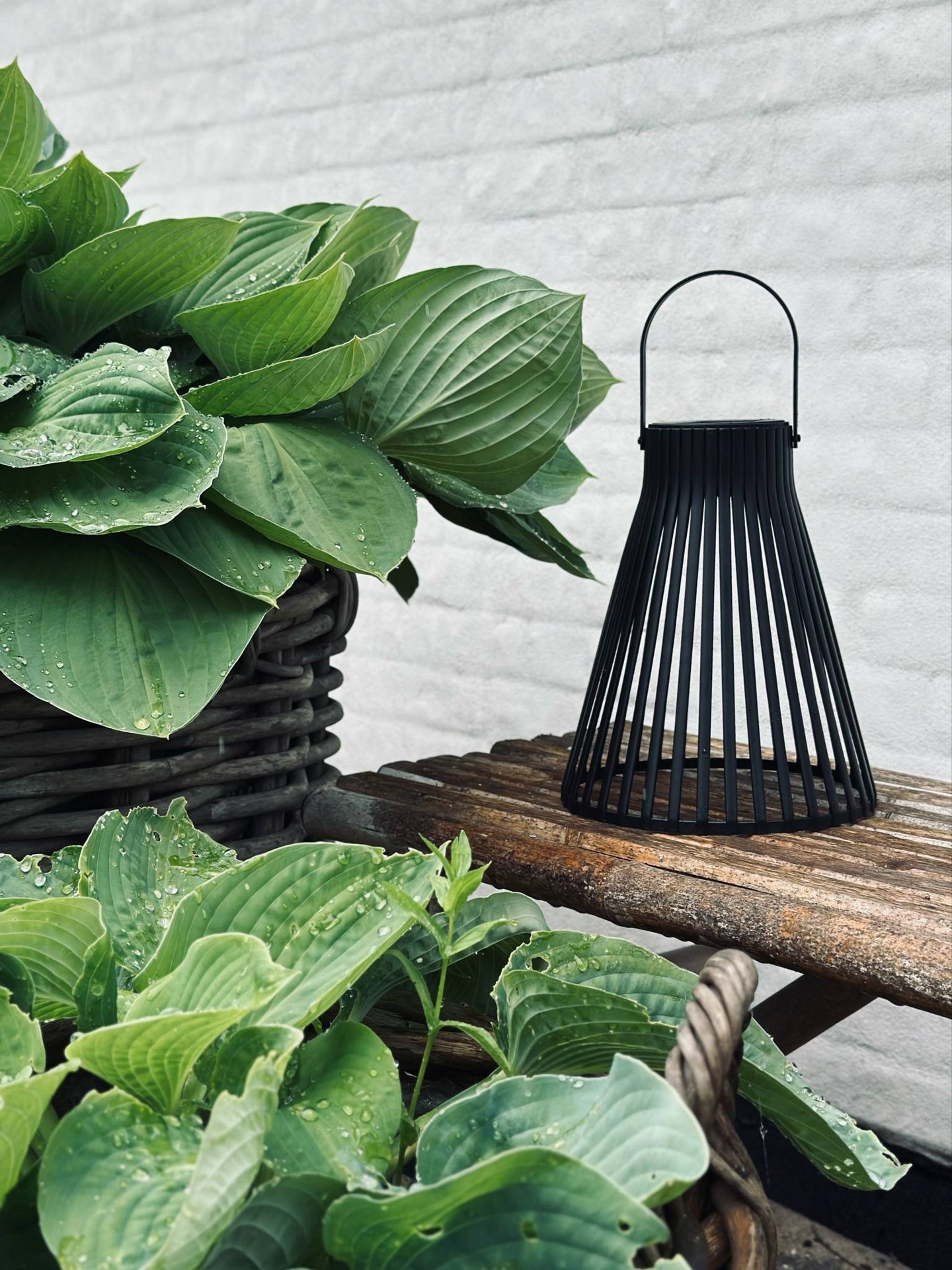 Lykta med solceller - GARDEN BLACK 24cm