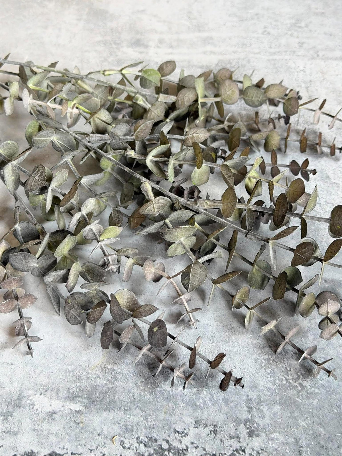 Cypressgren 82cm - Grön