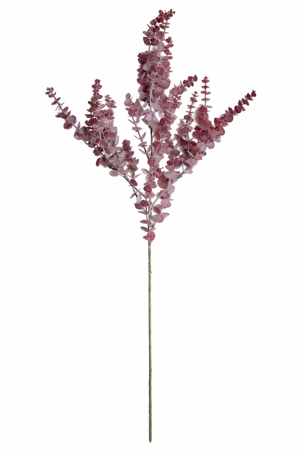 Cypress gren 82 cm - Rosa