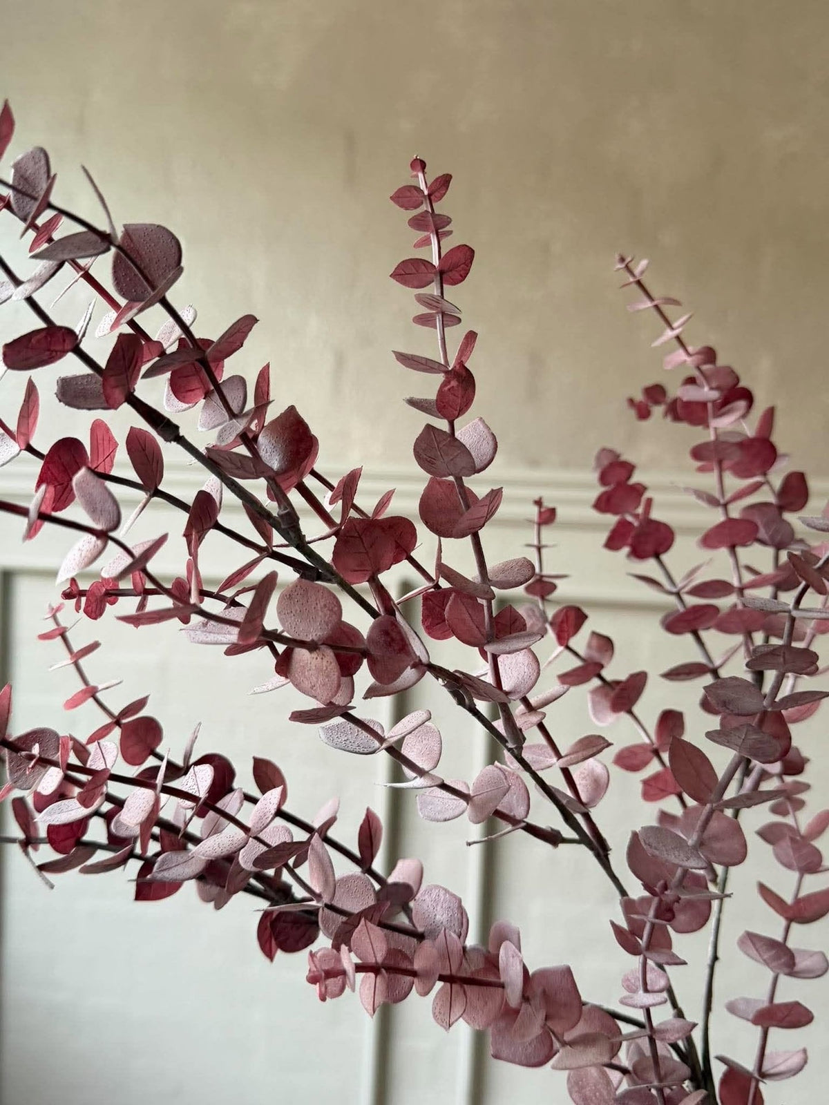 Cypress gren 82 cm - Rosa