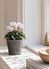 Kruka i betonglook – Liten