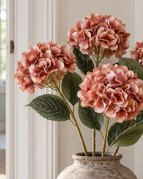 Hortensia brända färger - Mix