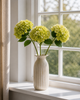 Hortensia Stjälk - Lime