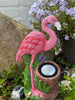 Flamingo med solceller