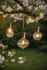 Solar bulbs - Mix