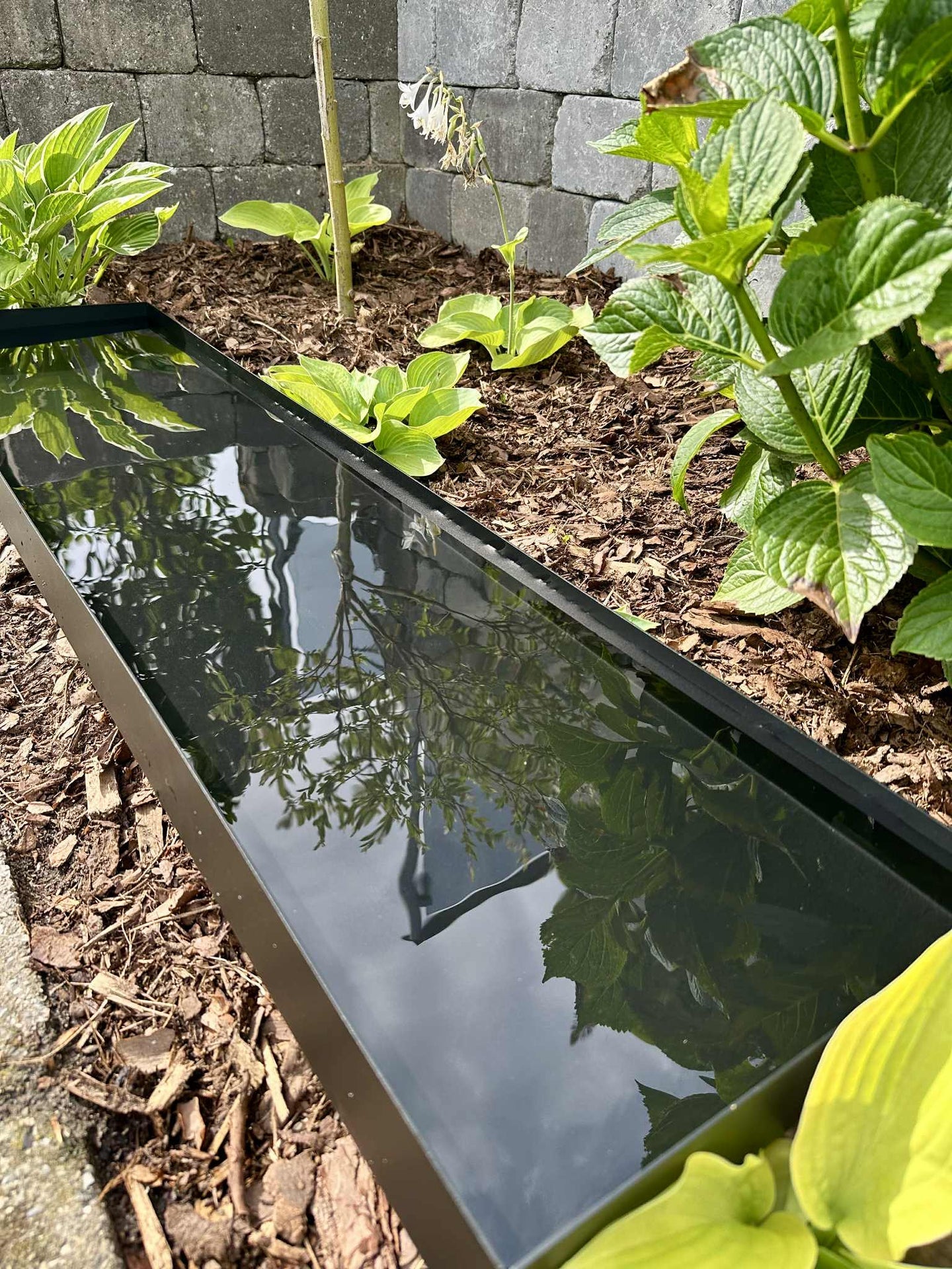 Spegelbassäng Rektangel - Svart