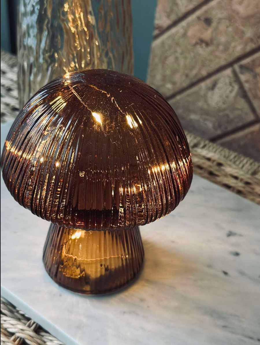 Svamp med ränder 20cm - Brun