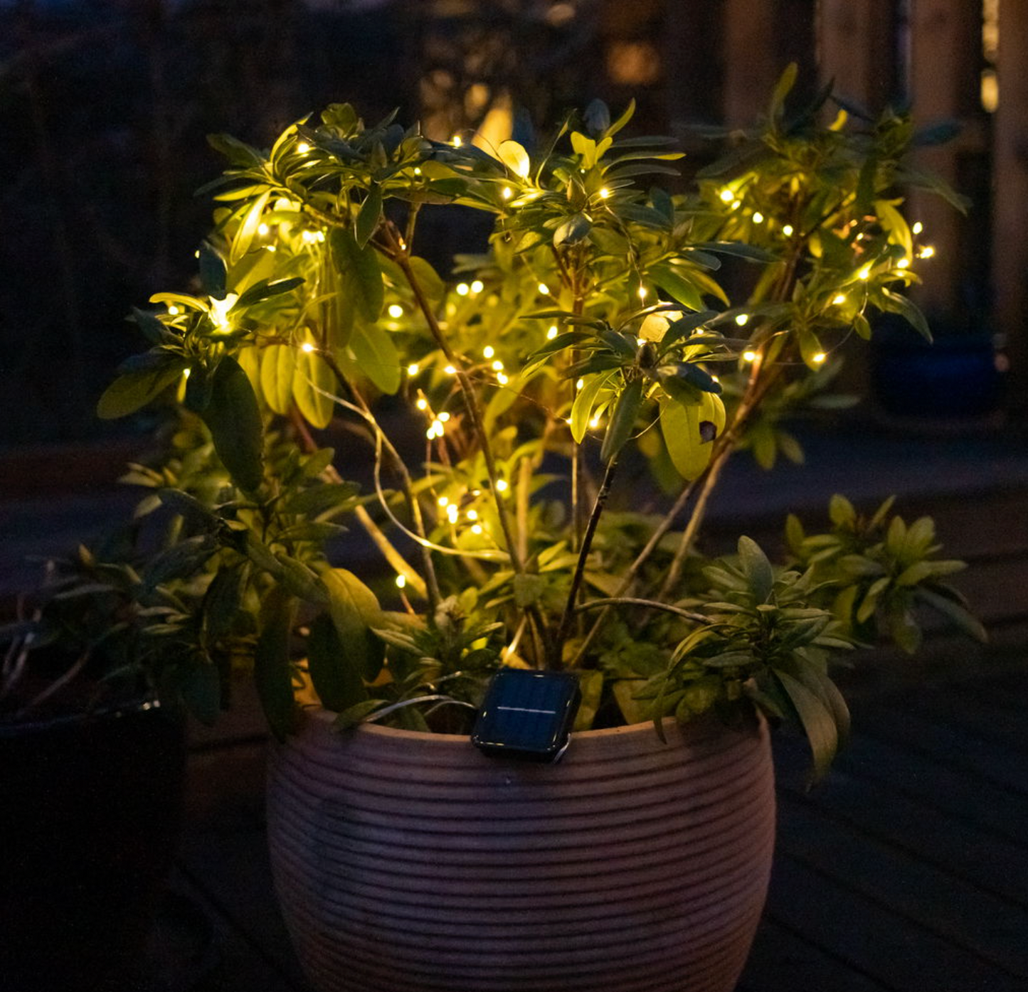 Ljusslinga Marly med Solcell - 200 ljus