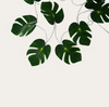 Ljusslinga med gröna blad