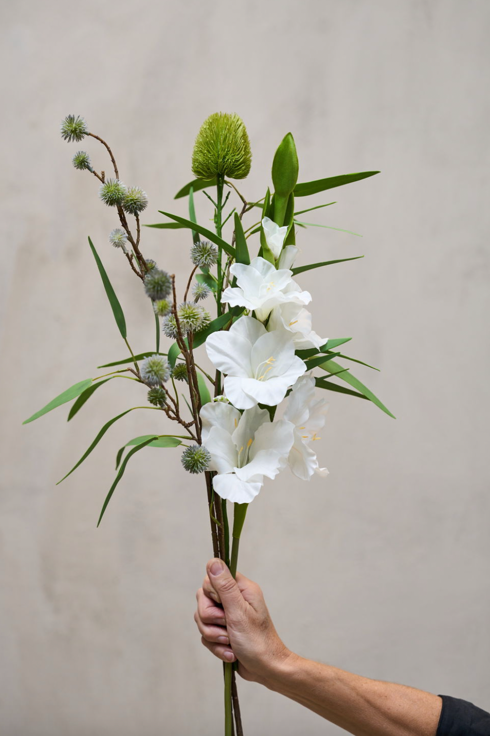 Gladiolusstjälk