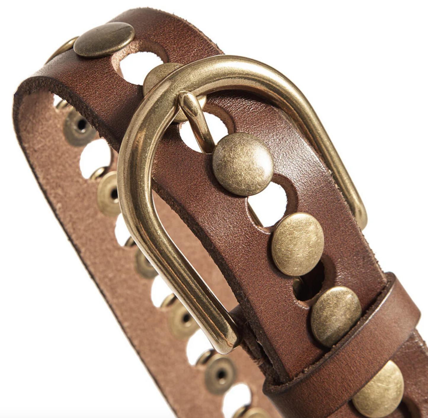 Jeansbälte dekorerat med nitar - Brun