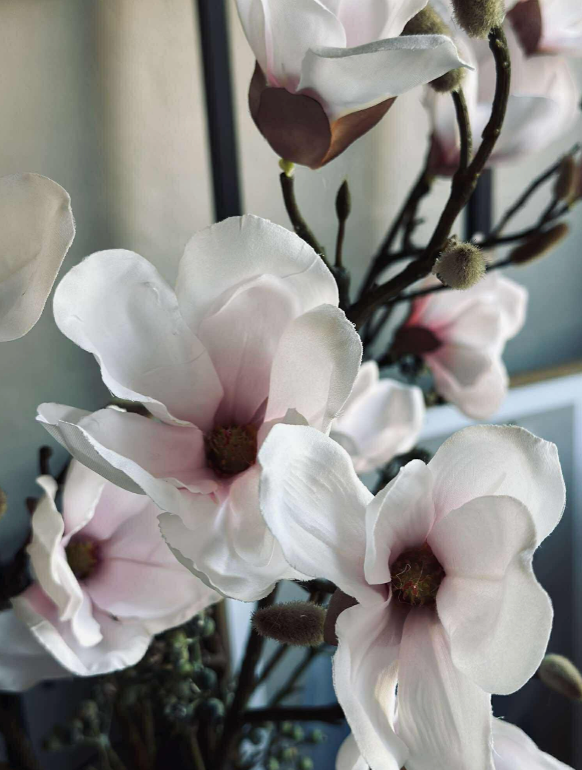 Magnoliagren - Rosa 52cm