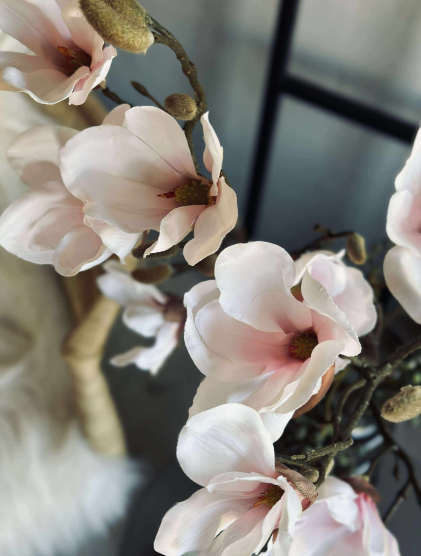 Magnoliagren - Rosa 52cm