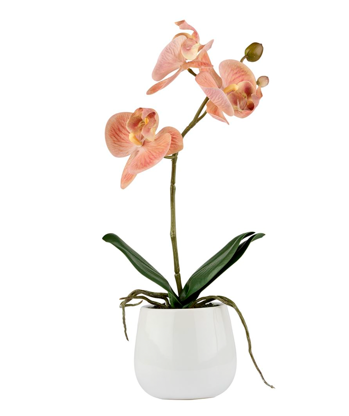 Orkidé i kruka - Rosa 36cm